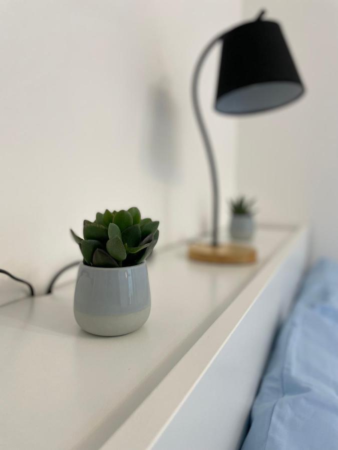 Apartment Daisy House *