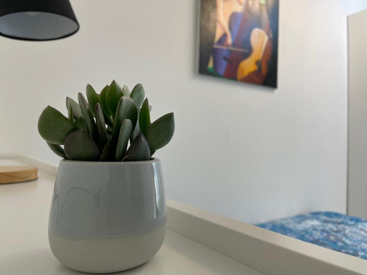 Apartment Daisy House