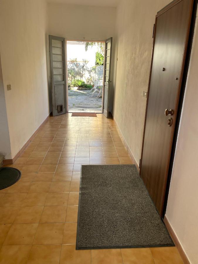 Daisy House Apartment *